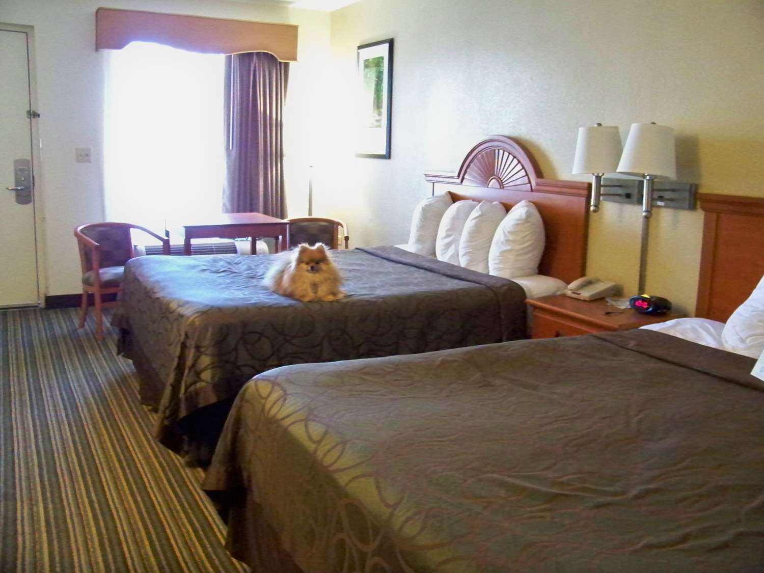 Best Western Of Murphy Luaran gambar