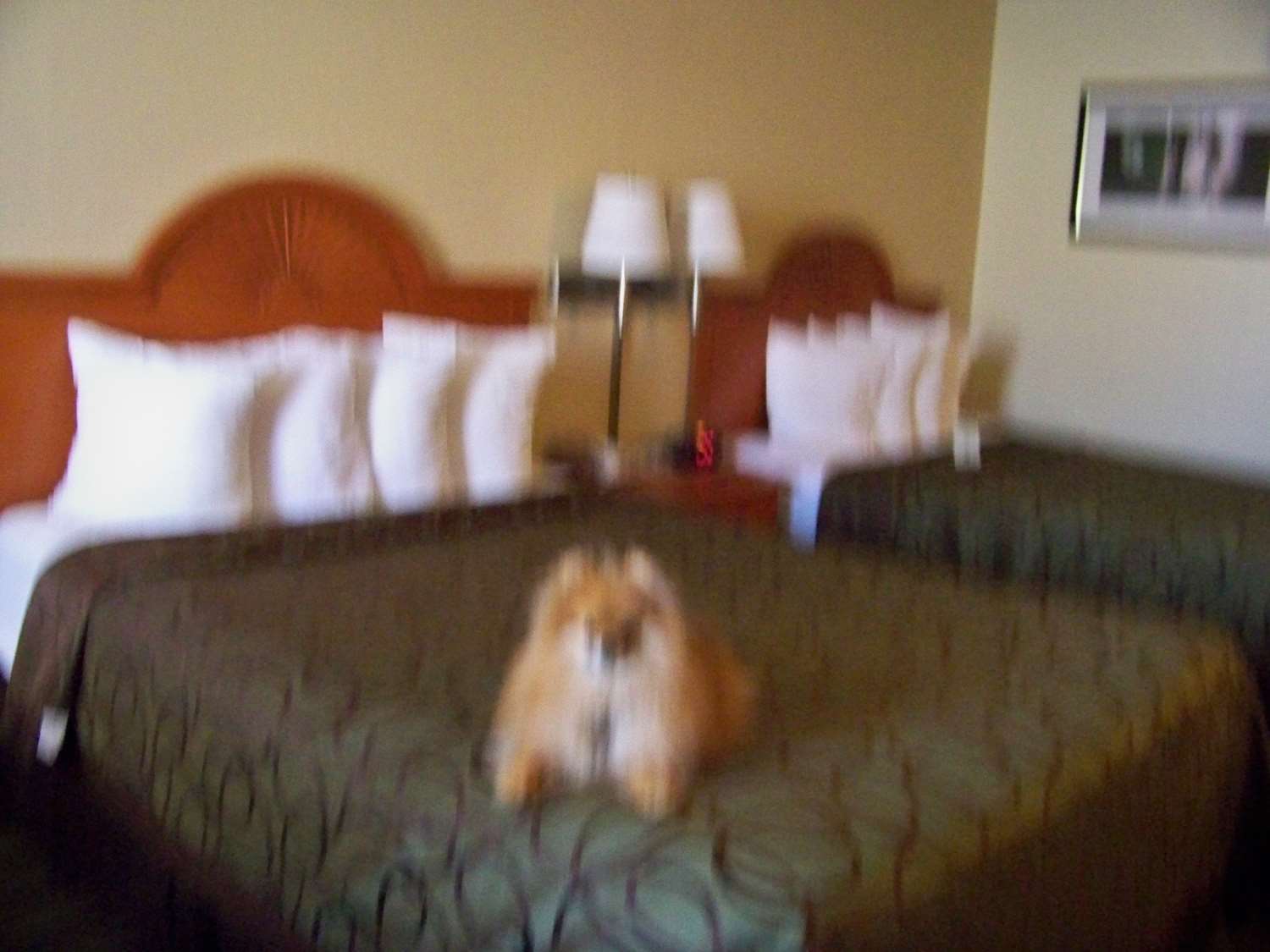 Best Western Of Murphy Luaran gambar